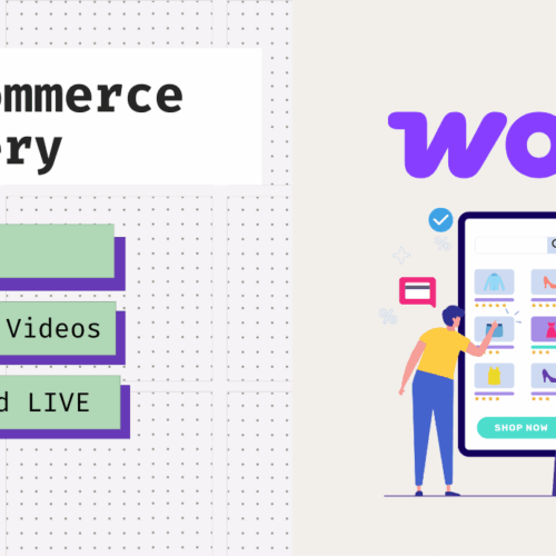 WooCommerce Website Development No Code Required